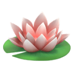 Strengthen body & mind